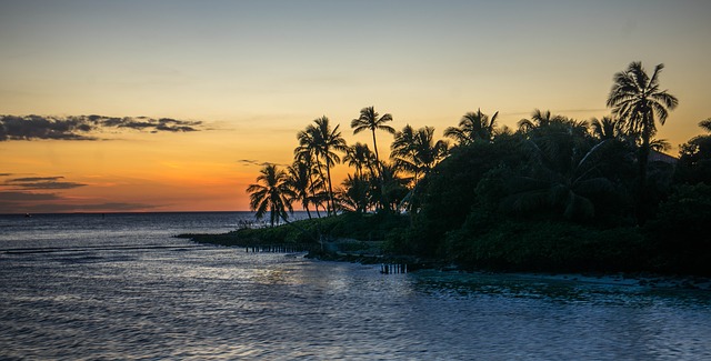 Arnie Traub Florida Image